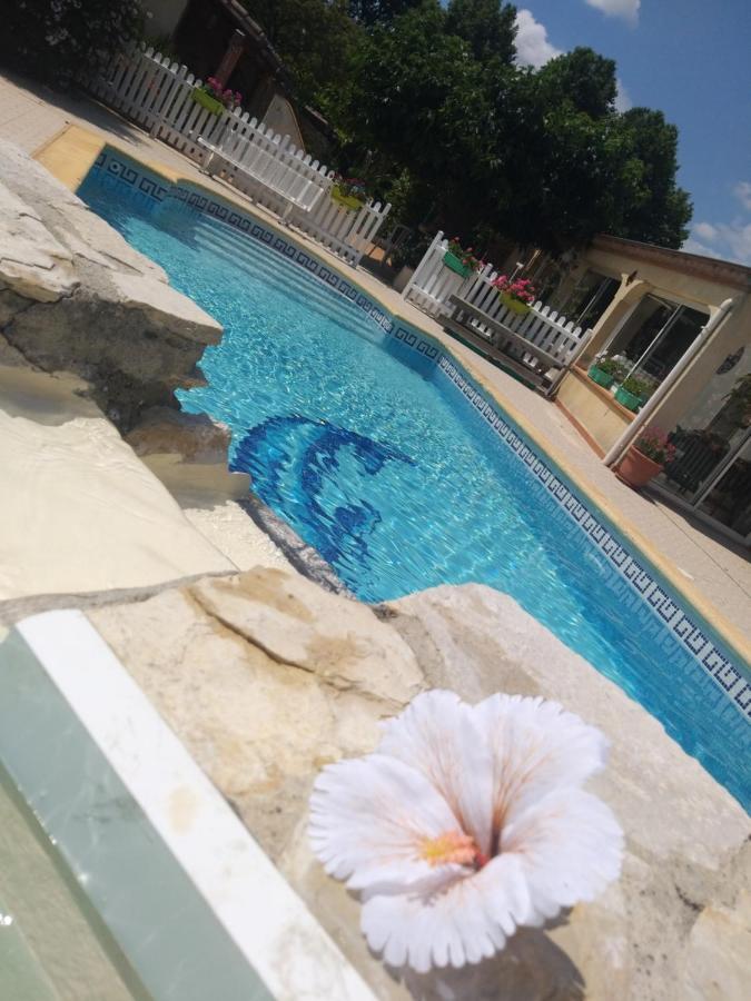 Apartament Gite T2 Avec Grande Piscine Villeneuve-la-Comptal Zewnętrze zdjęcie